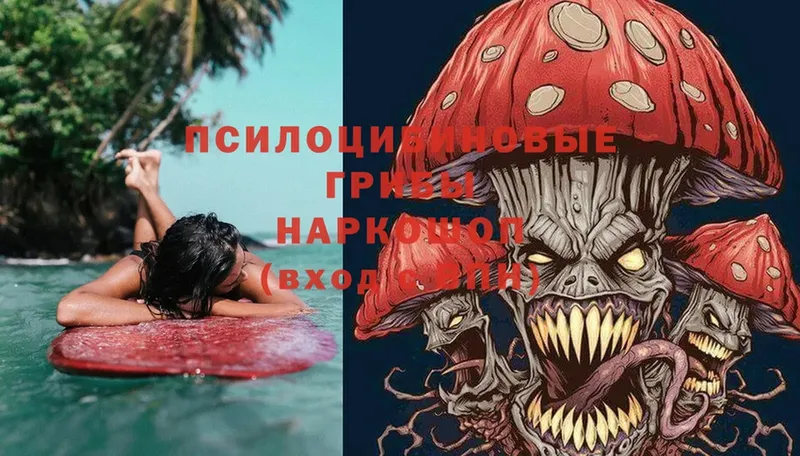 Псилоцибиновые грибы Magic Shrooms  площадка телеграм  Кимры 